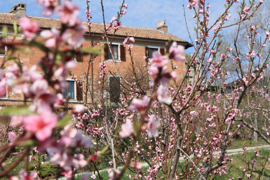 B&B Di Spineto Villaromagnano Екстер'єр фото