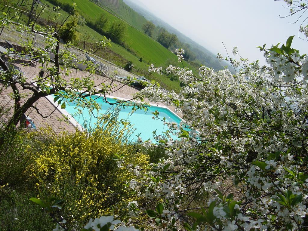 B&B Di Spineto Villaromagnano Екстер'єр фото